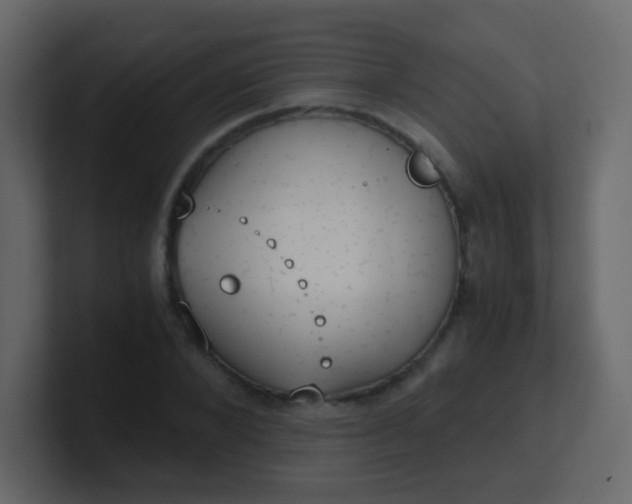 X0000101110880200807101507