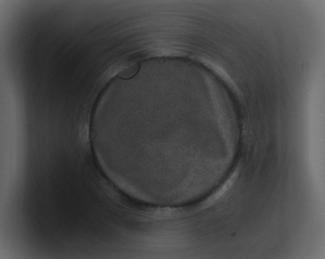 X0000101110881200807101507