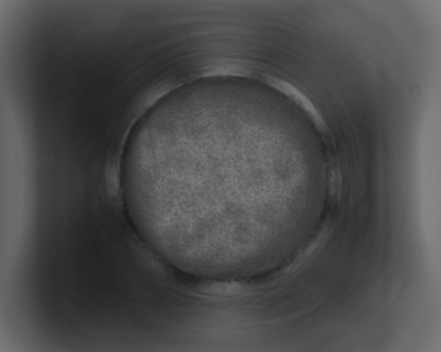 X0000101110882200807101507