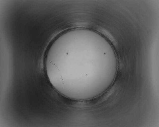 X0000101110883200807101507