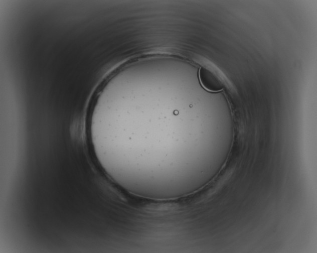 X0000101110884200807101507