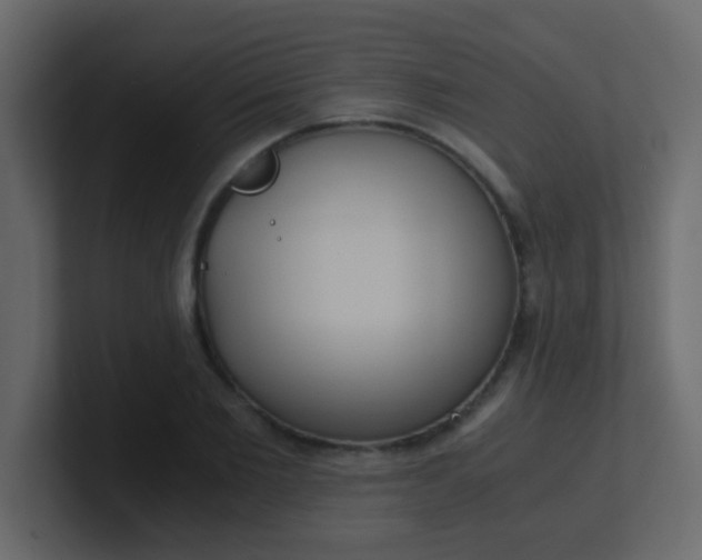 X0000101110885200807101507