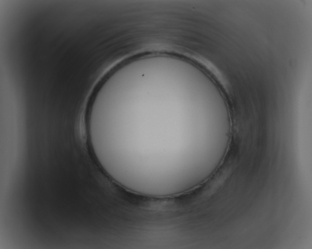 X0000101110887200807101507