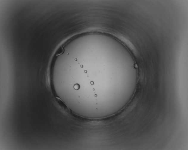 X0000101110888200807101506