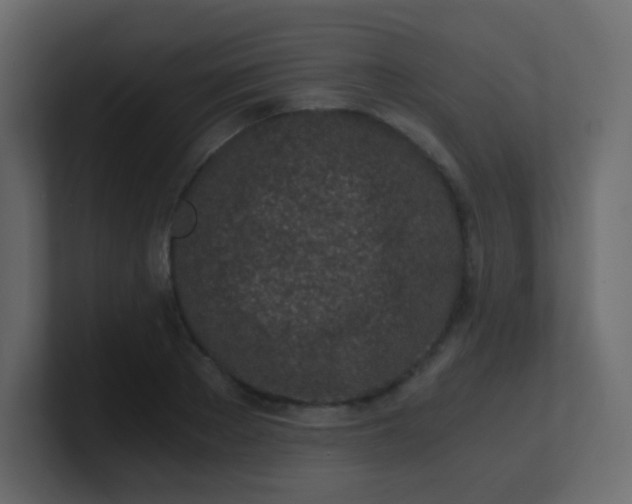 X0000101110889200807101506