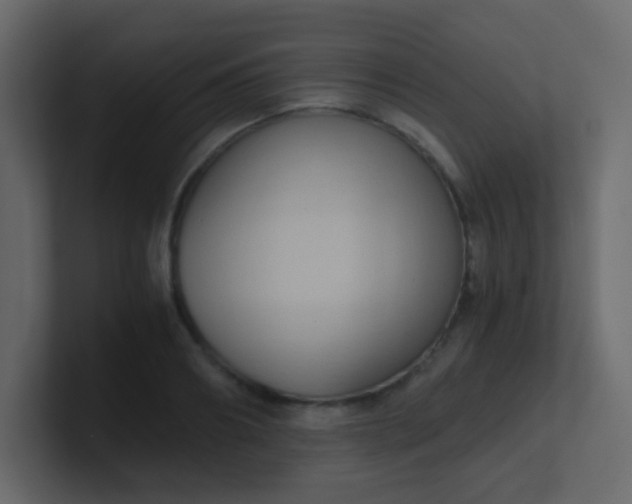 X0000101110890200807101506