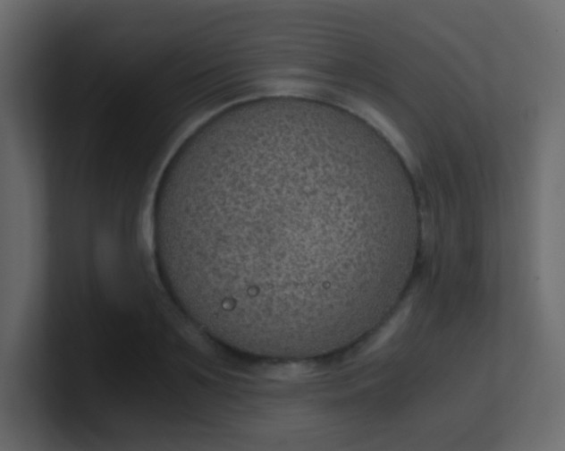 X0000101110891200807101506