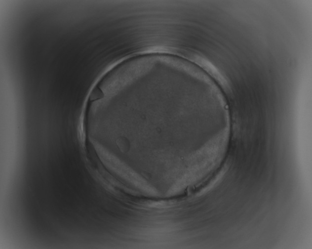 X0000101110892200807101506
