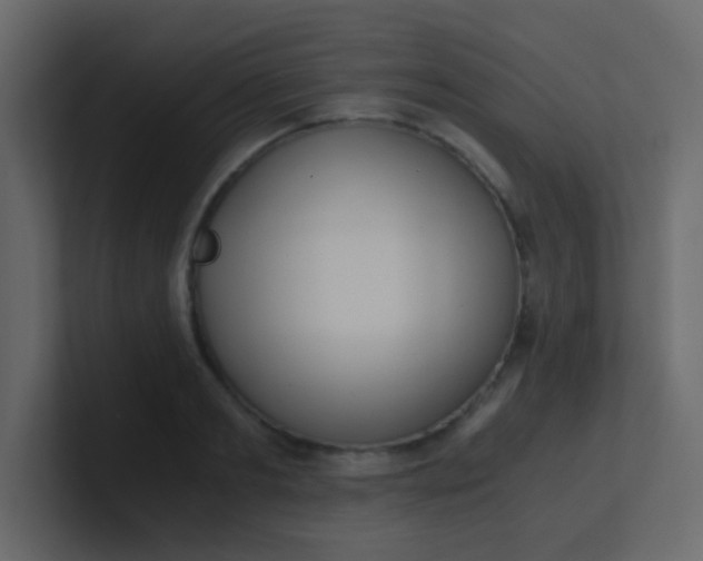 X0000101110893200807101506
