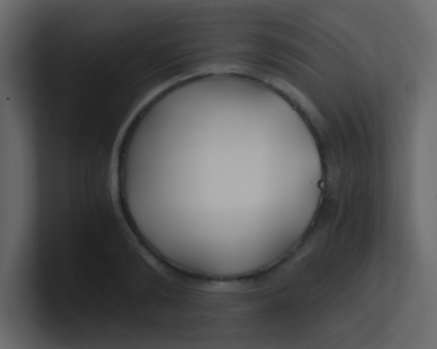 X0000101110894200807101506
