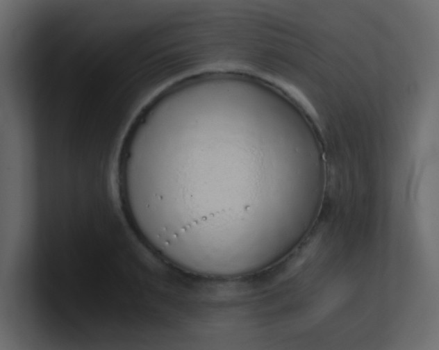 X0000101110895200807101506
