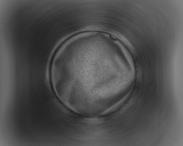 X0000101110896200807101506