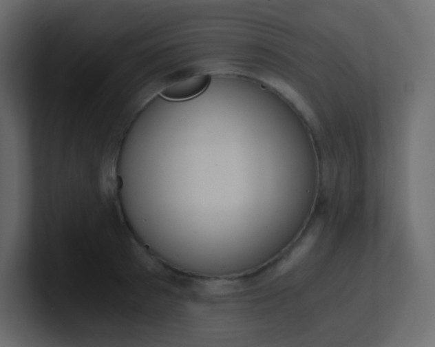 X0000101110897200807101506