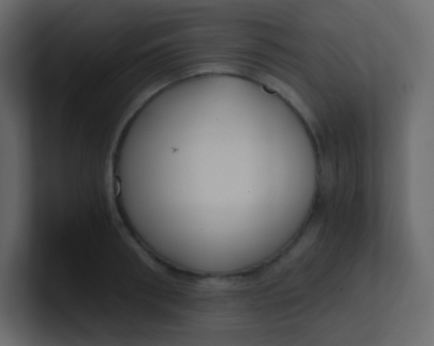 X0000101110898200807101506