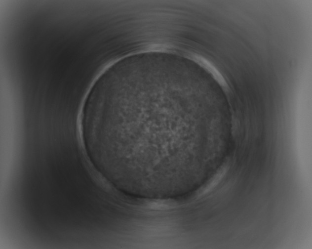 X0000101110899200807101506