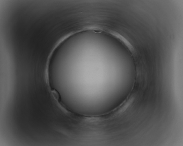 X0000101110902200807101506