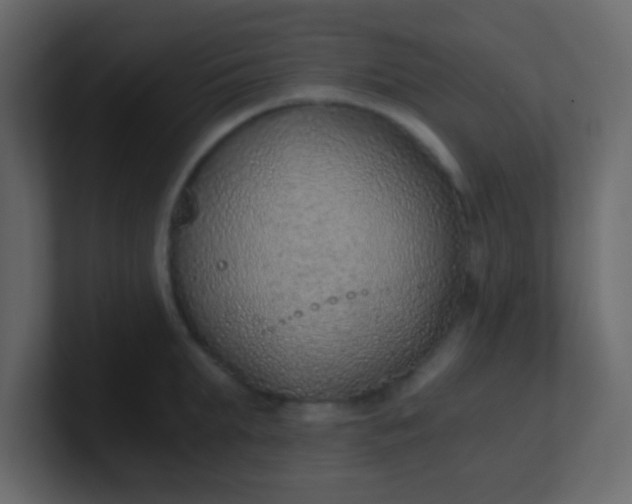 X0000101110903200807101506