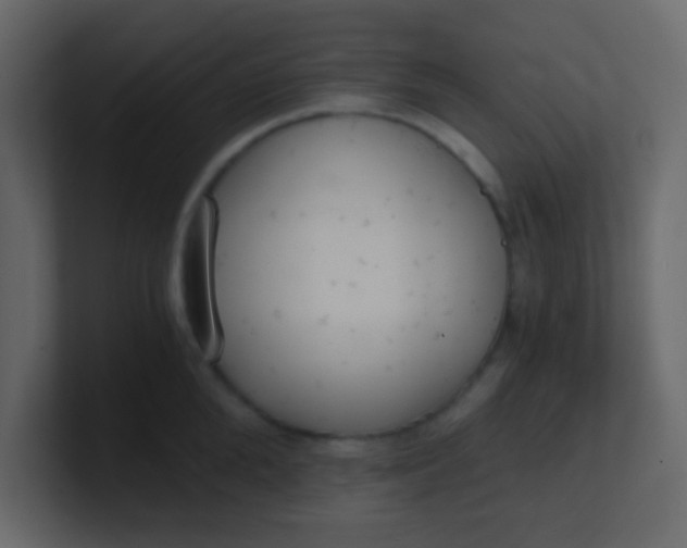 X0000101110904200807101506