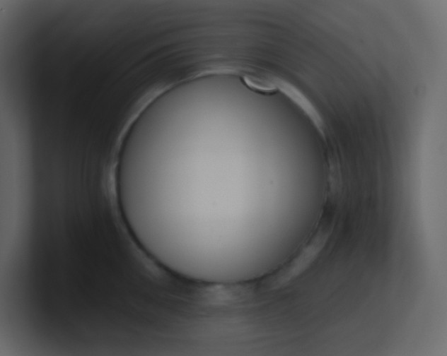 X0000101110906200807101506
