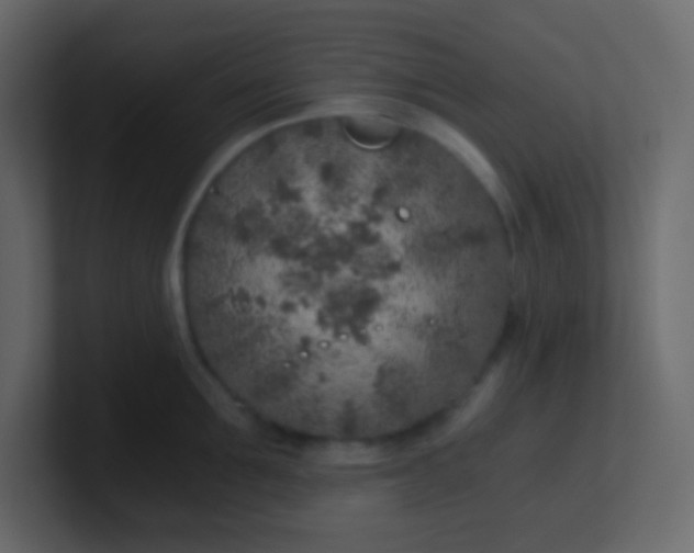 X0000101110907200807101506