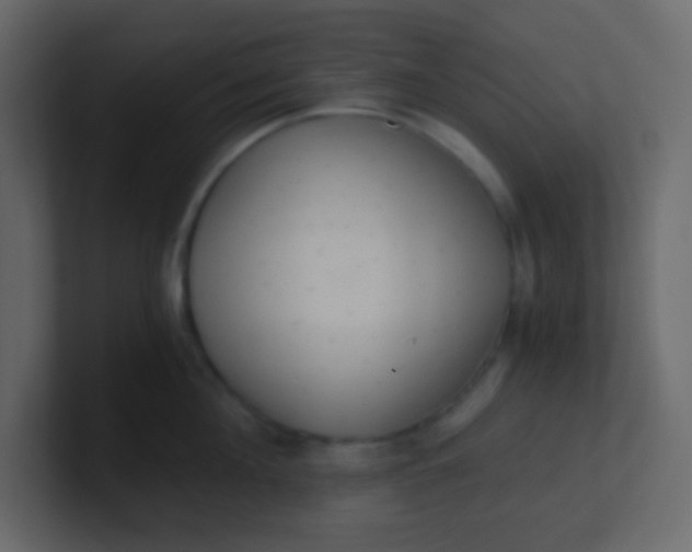 X0000101110908200807101506