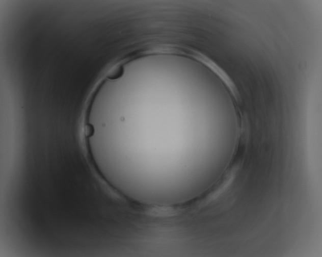 X0000101110909200807101506
