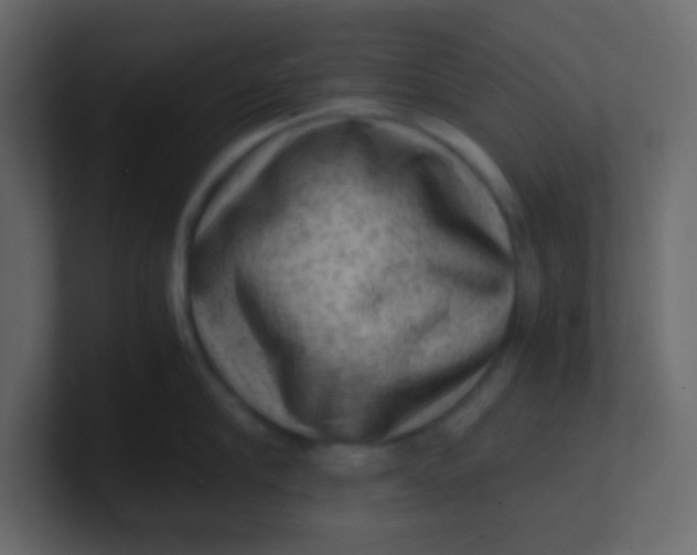 X0000101110910200807101506