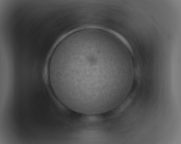 X0000101110911200807101506
