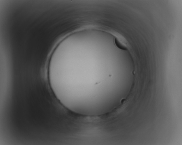 X0000101110912200807101506