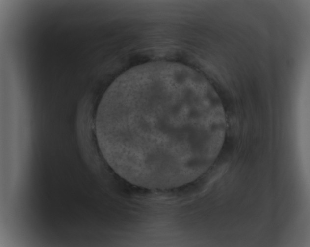 X0000101110913200807101505