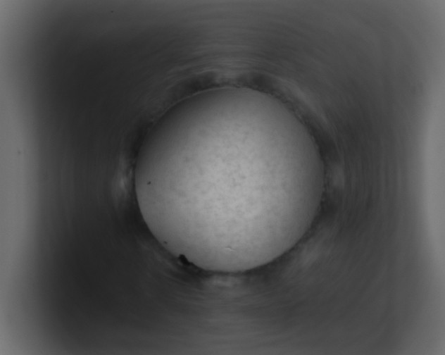 X0000101110914200807101505