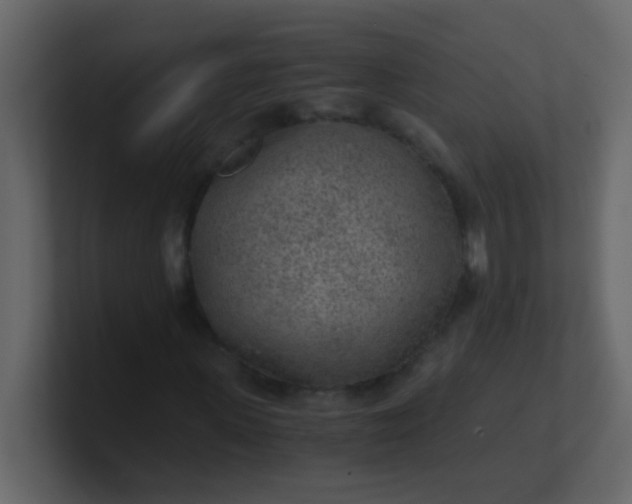 X0000101110915200807101505