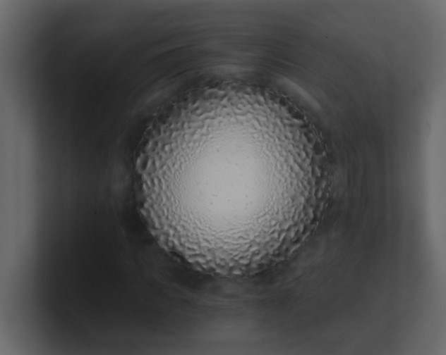 X0000101110917200807101506