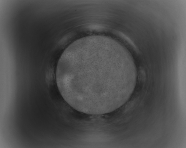 X0000101110918200807101506