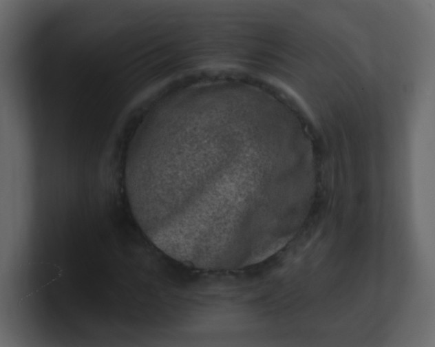 X0000101110919200807101506