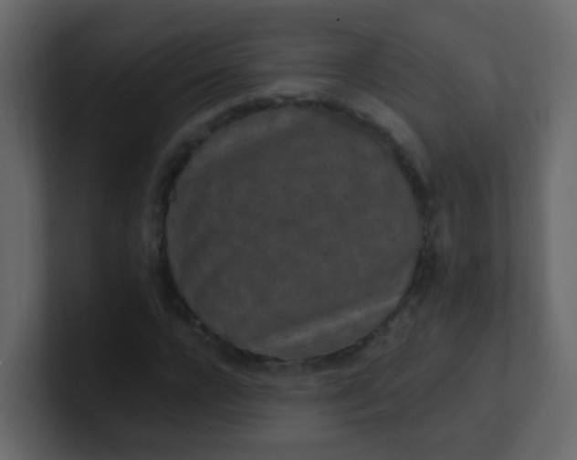X0000101110920200807101506