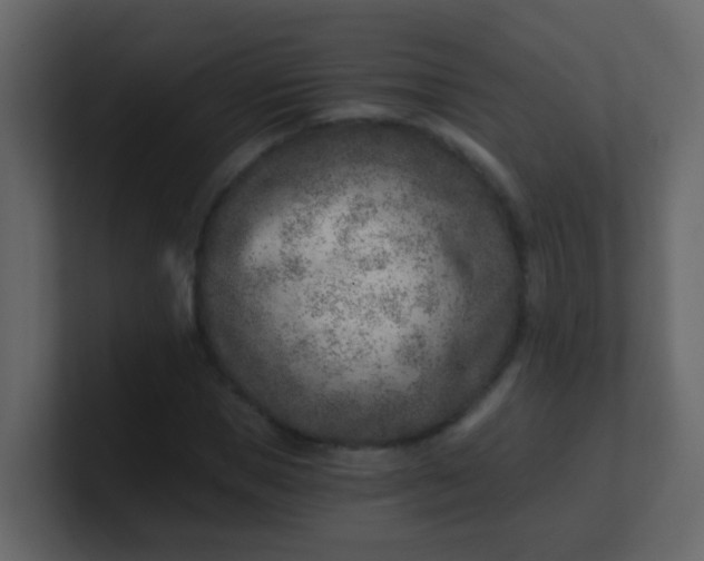 X0000101110921200807101506