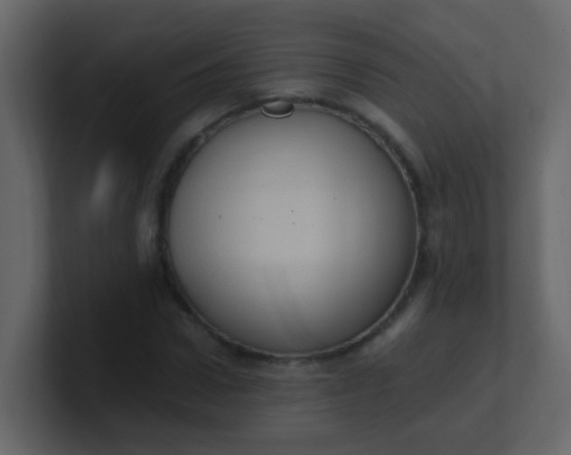 X0000101110922200807101506