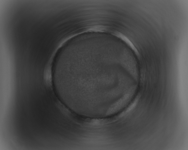 X0000101110923200807101506