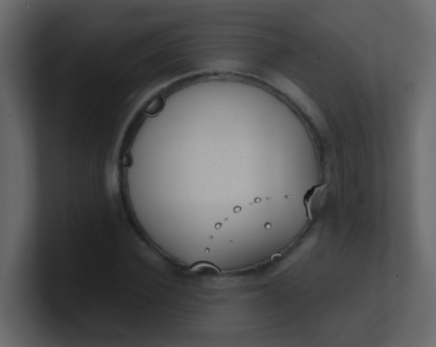 X0000101110924200807101506