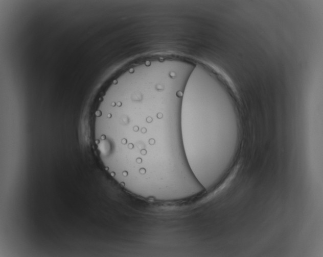 X0000101110925200807101506
