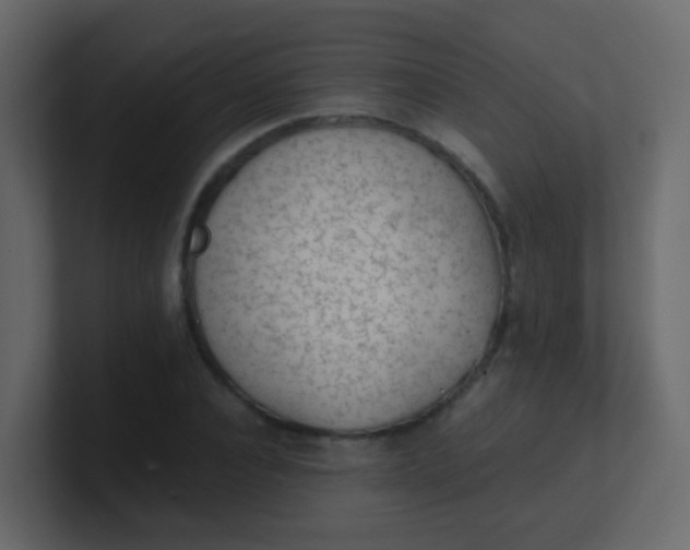 X0000101110928200807101506