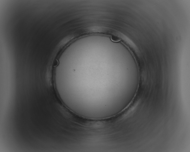 X0000101110930200807101506