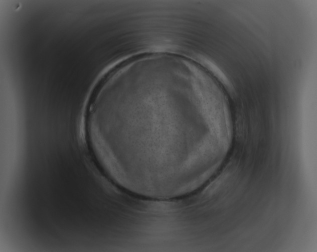 X0000101110932200807101506