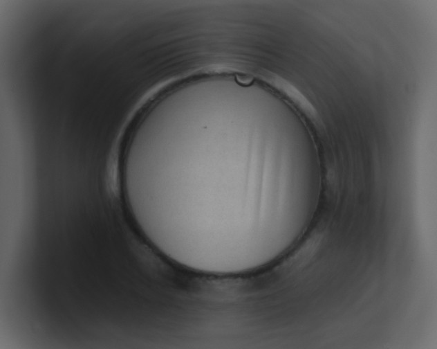X0000101110934200807101506