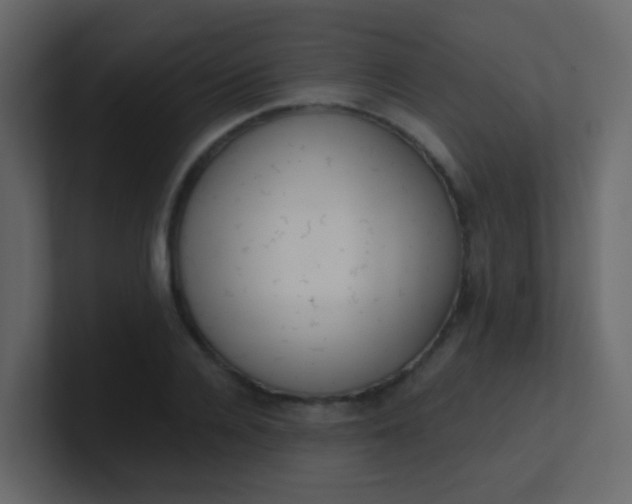 X0000101110936200807101506
