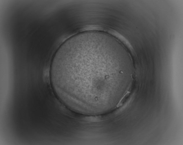 X0000101110937200807101506