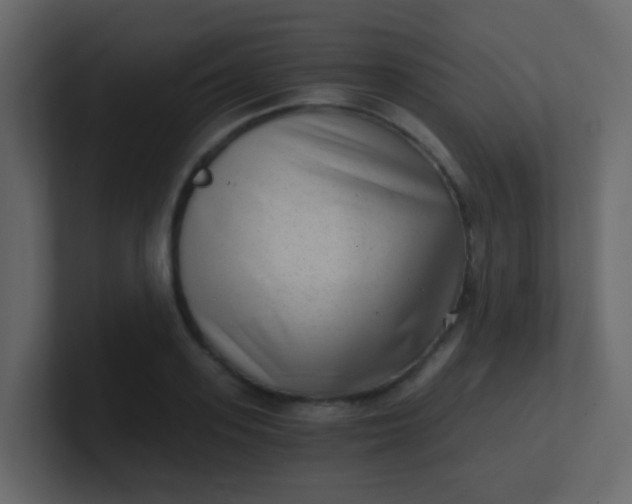 X0000101110939200807101506