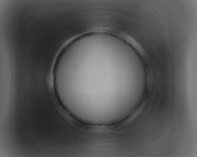 X0000101110940200807101506