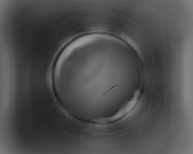 X0000101110941200807101506